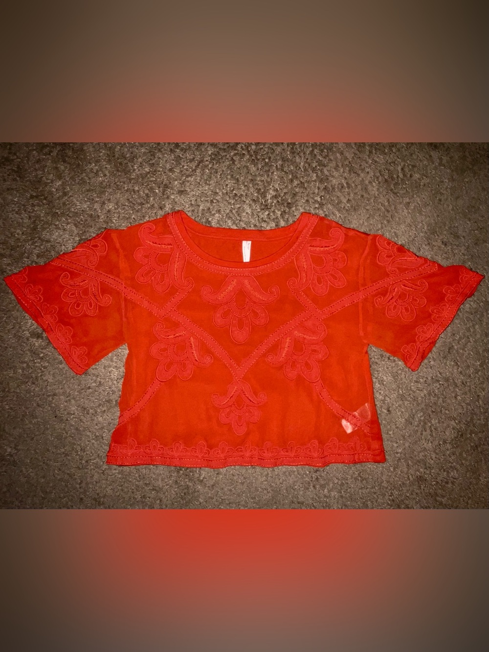 Anthropologie Women’s Rust Orange Sheer Embroidered Boxy Top - Picture 11 of 13